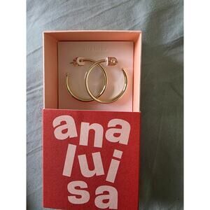 Ana Luisa Wade Large